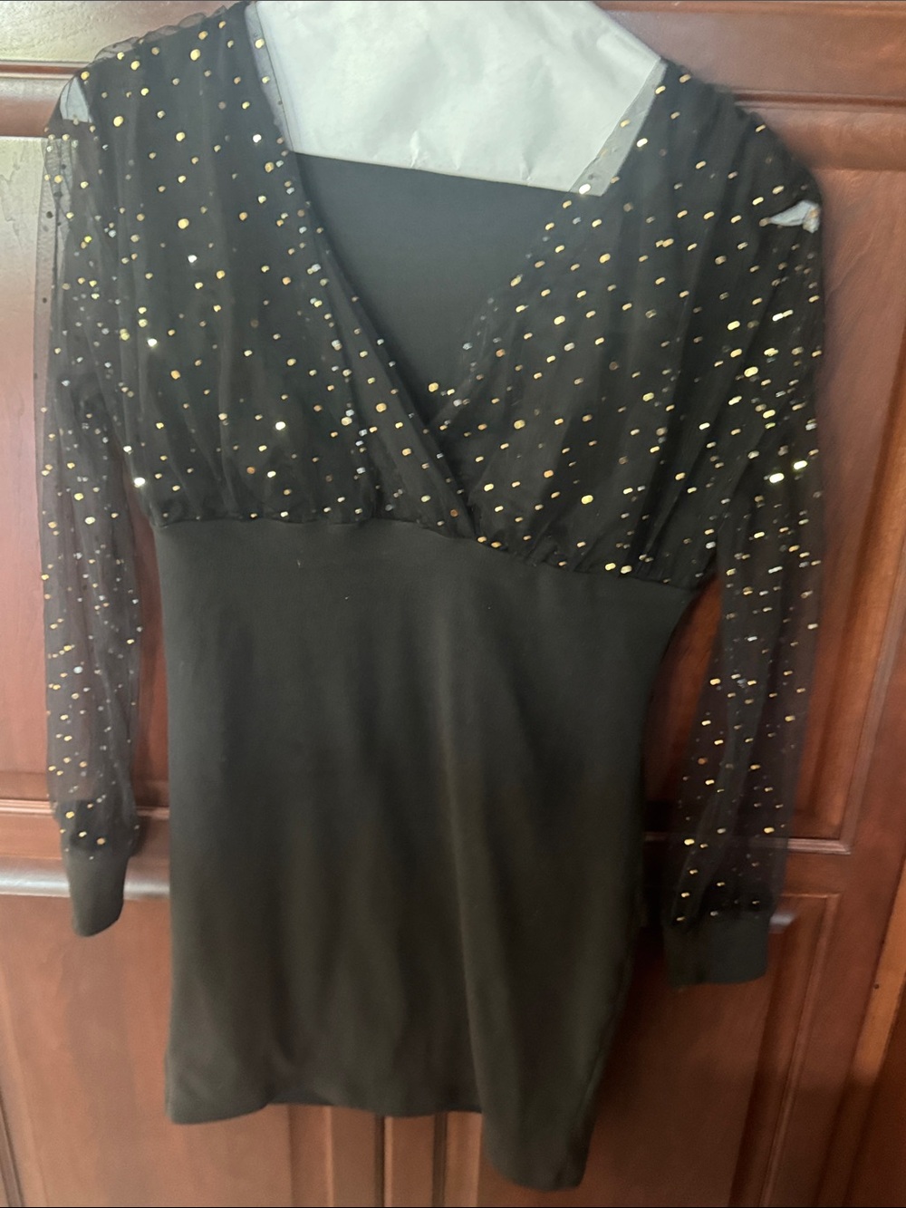 Black Long-Sleeve Mesh Dress with Gold Dot Detail